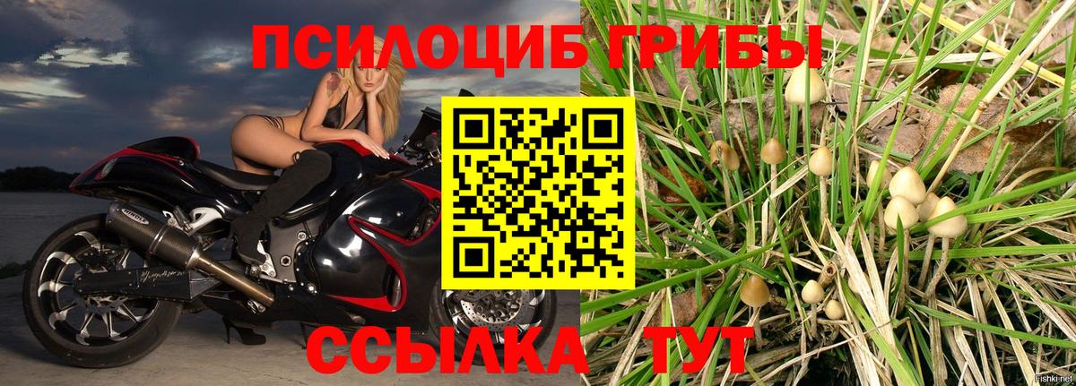 Псилоцибиновые грибы мухоморы Сыктывкар